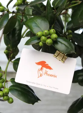 $100 Online Gift Card