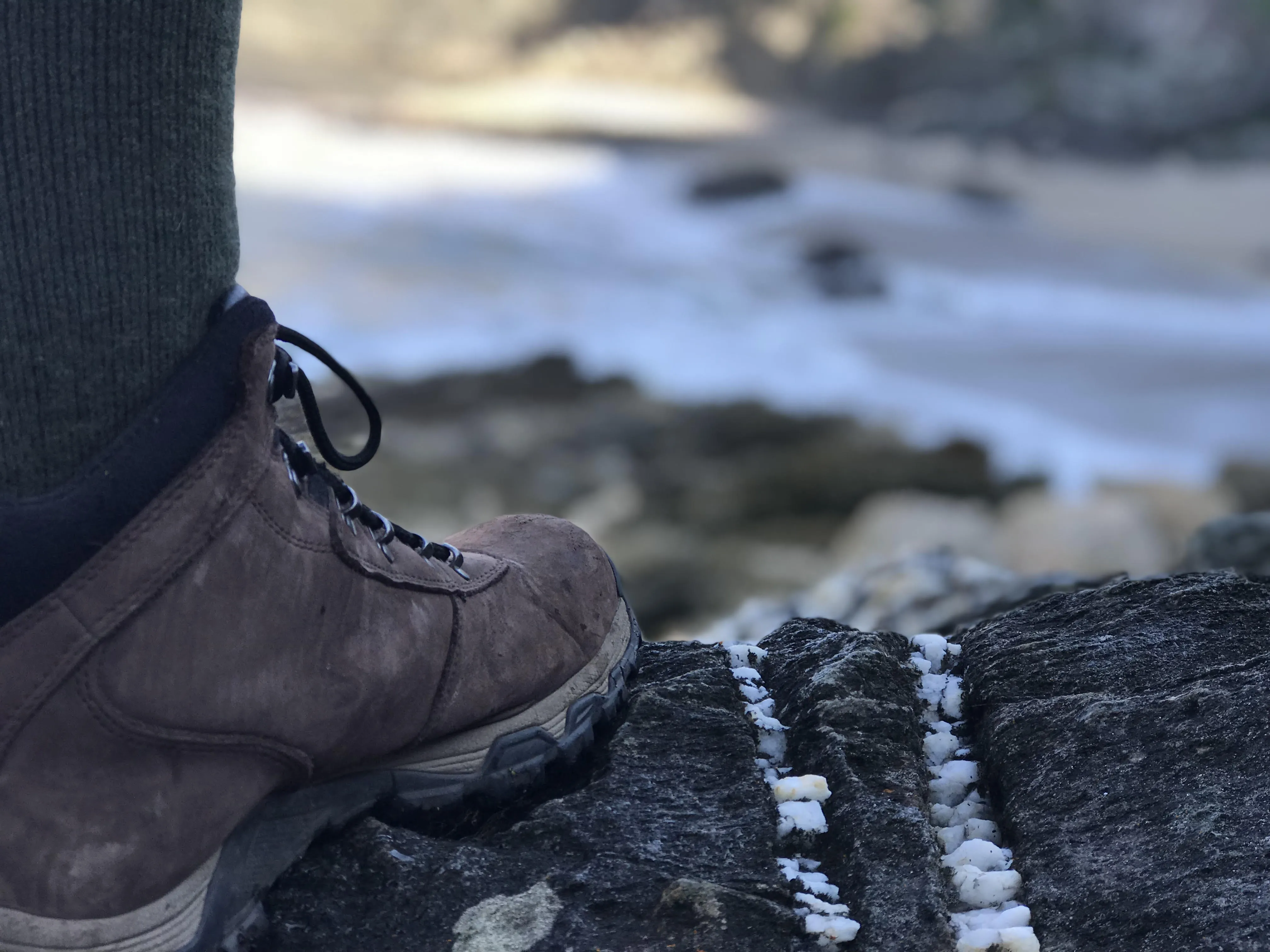 Hi-Tec Altitude OX - Men's