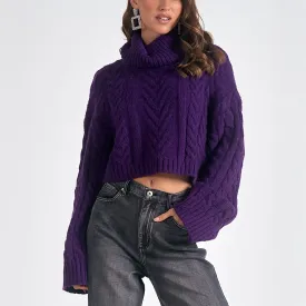 Turtleneck Cable Sweater Purple